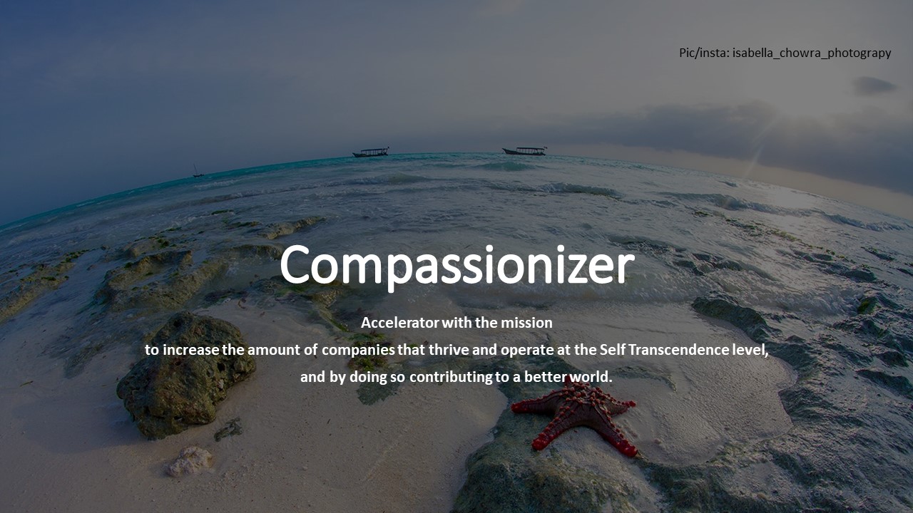 Read more about the article Compassionizer – The Accelerator For The New Evolving Economy (Eng & Swe text)